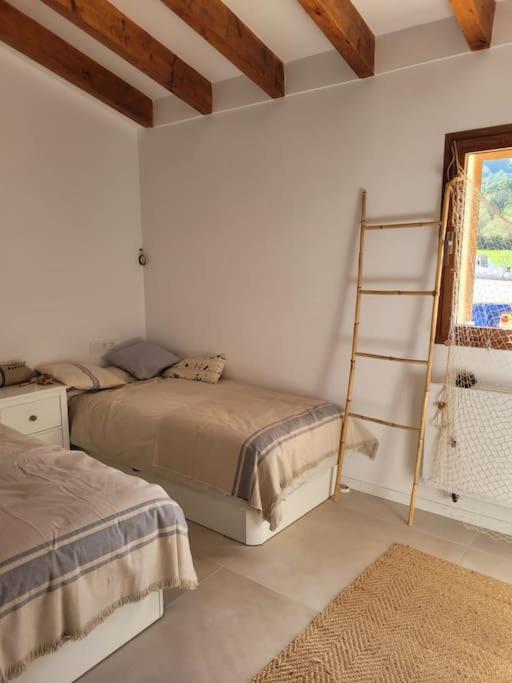 Figuera Alcudia (Mallorca)
